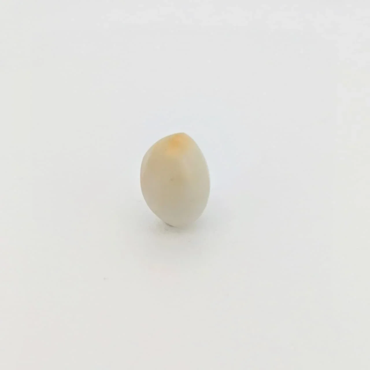 Natural Cat's Eye (Lehsunia) 8.61 Carat – for Ketu – image 2