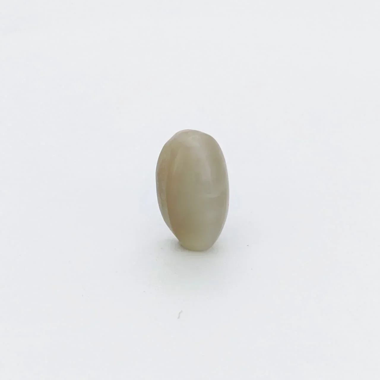 Natural Cat's Eye (Lehsunia) 5.5 Carat – for Ketu – image 2