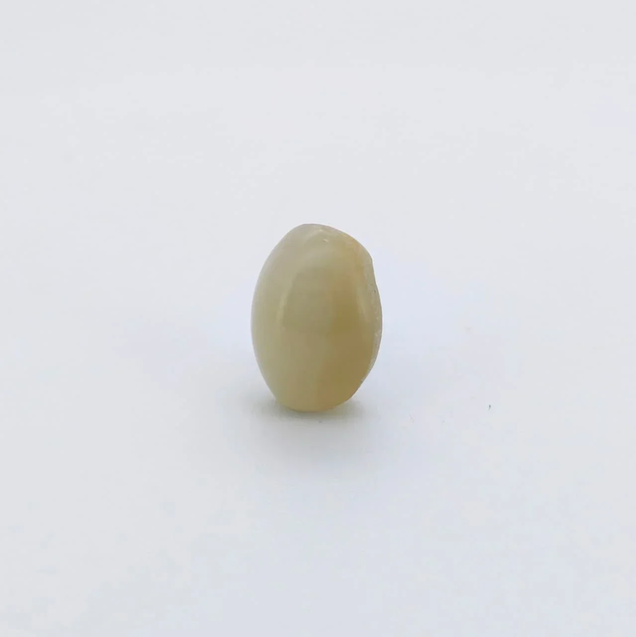 Natural Cat's Eye (Lehsunia) 7.88 Carat – for Ketu – image 3