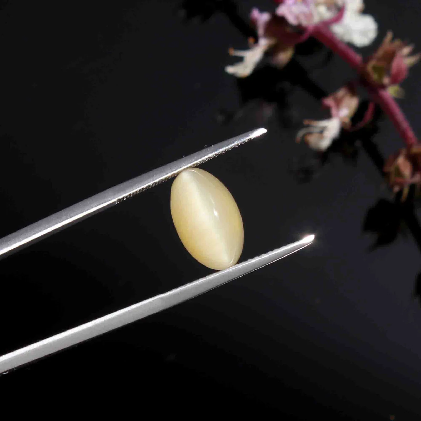Natural Cat's Eye (Lehsunia) 2.82 Carat – for Ketu – image 1