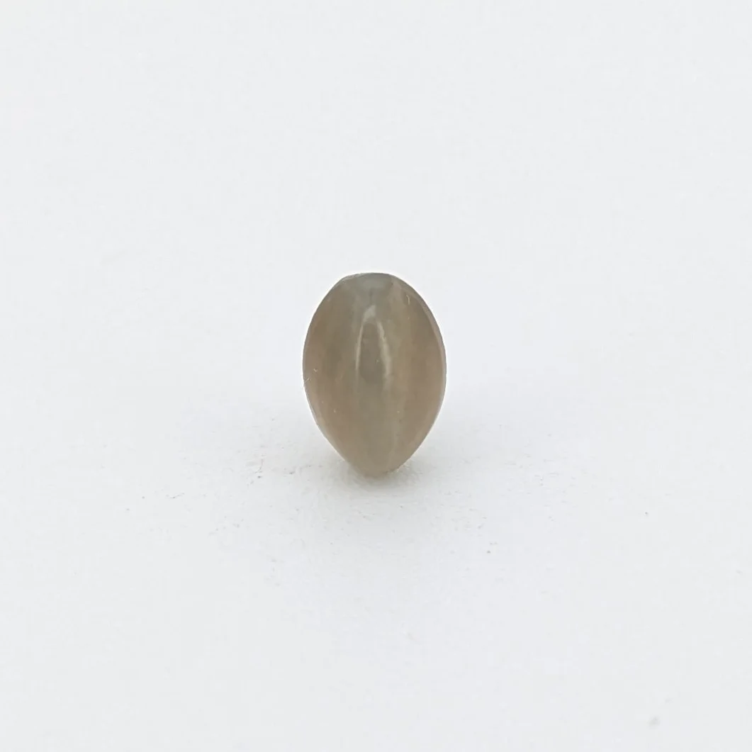 Natural Cat's Eye (Lehsunia) 2.38 Carat – for Ketu