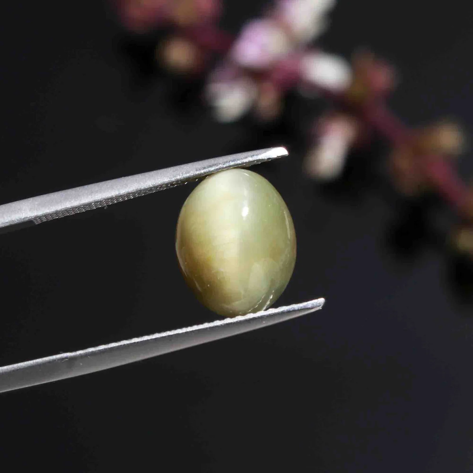 Natural Cat's Eye (Lehsunia) 4.87 Carat – for Ketu – image 1