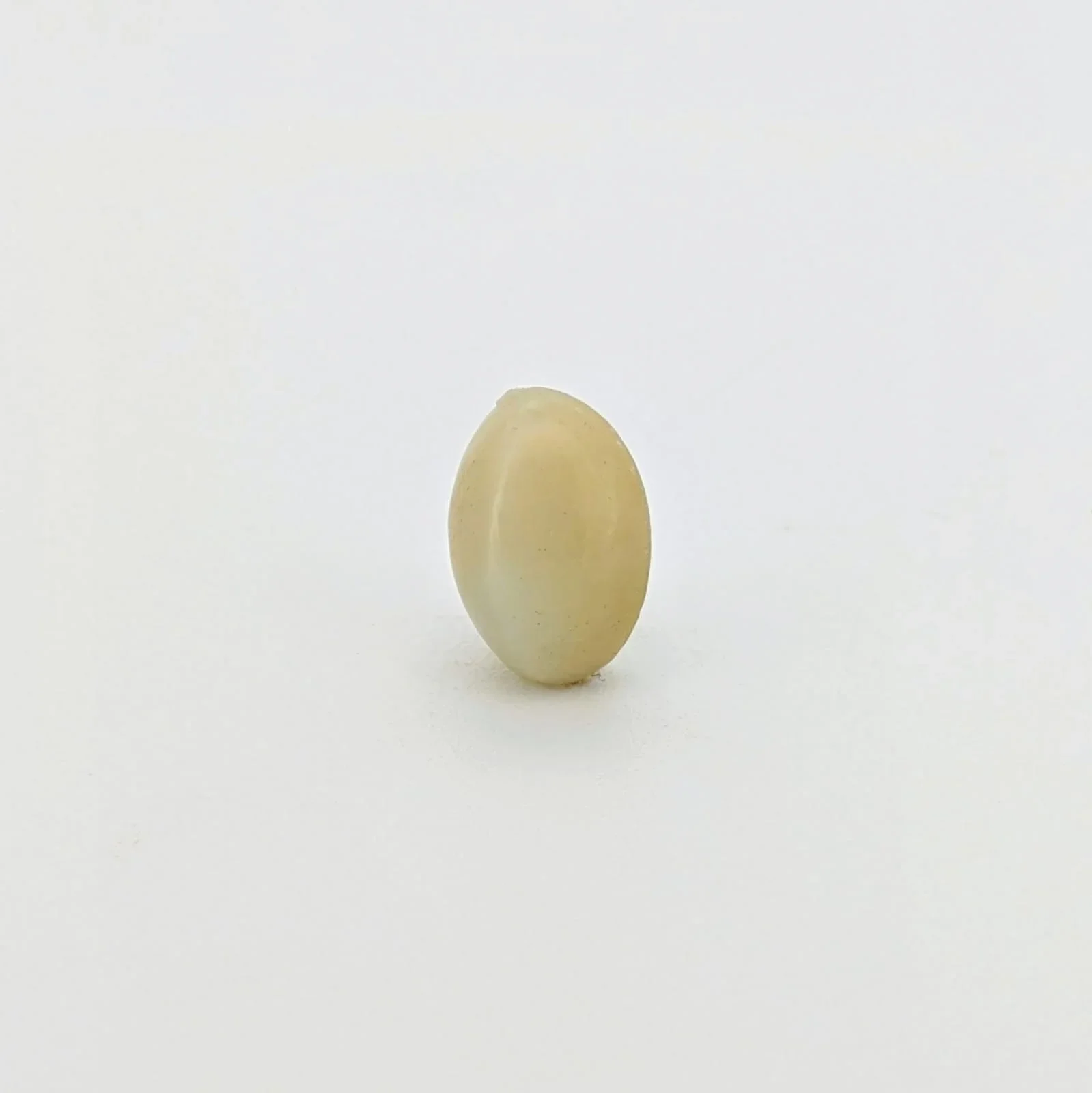 Natural Cat's Eye (Lehsunia) 7.51 Carat – for Ketu – image 3