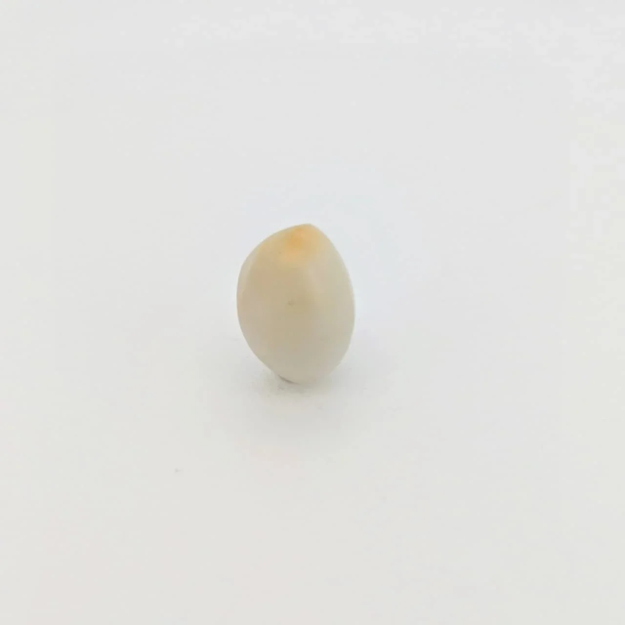 Natural Cat's Eye (Lehsunia) 5.77 Carat – for Ketu – image 2