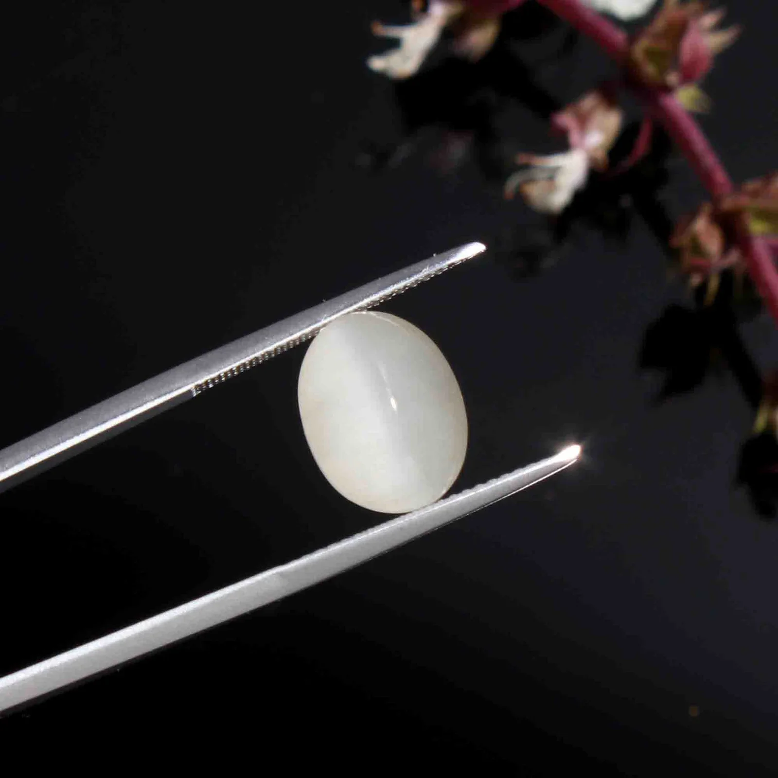 Natural Cat's Eye (Lehsunia) 5.2 Carat – for Ketu – image 1