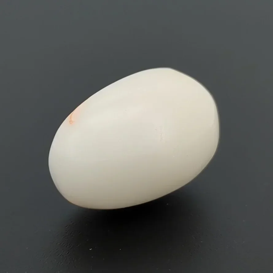 Natural Red Coral (Moonga) 16.86 Carat – for Mars – image 3