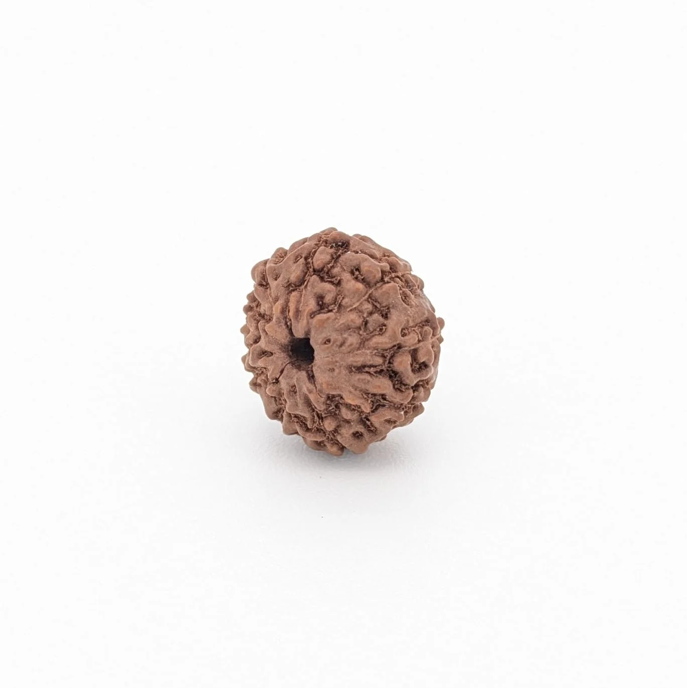 Natural 9 Mukhi Rudraksha