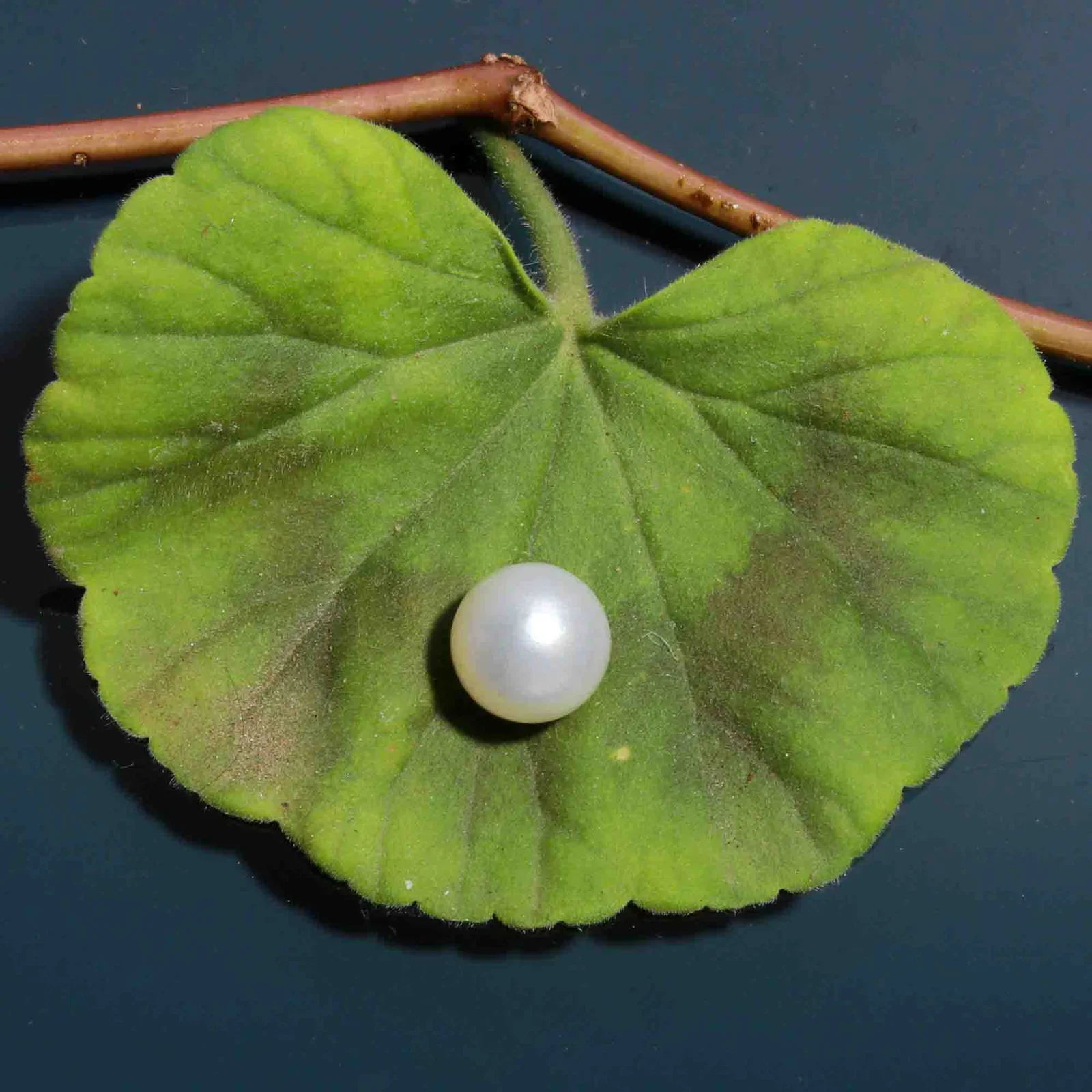 Natural Pearl (Moti) 6.88 Carat – for Moon – image 1