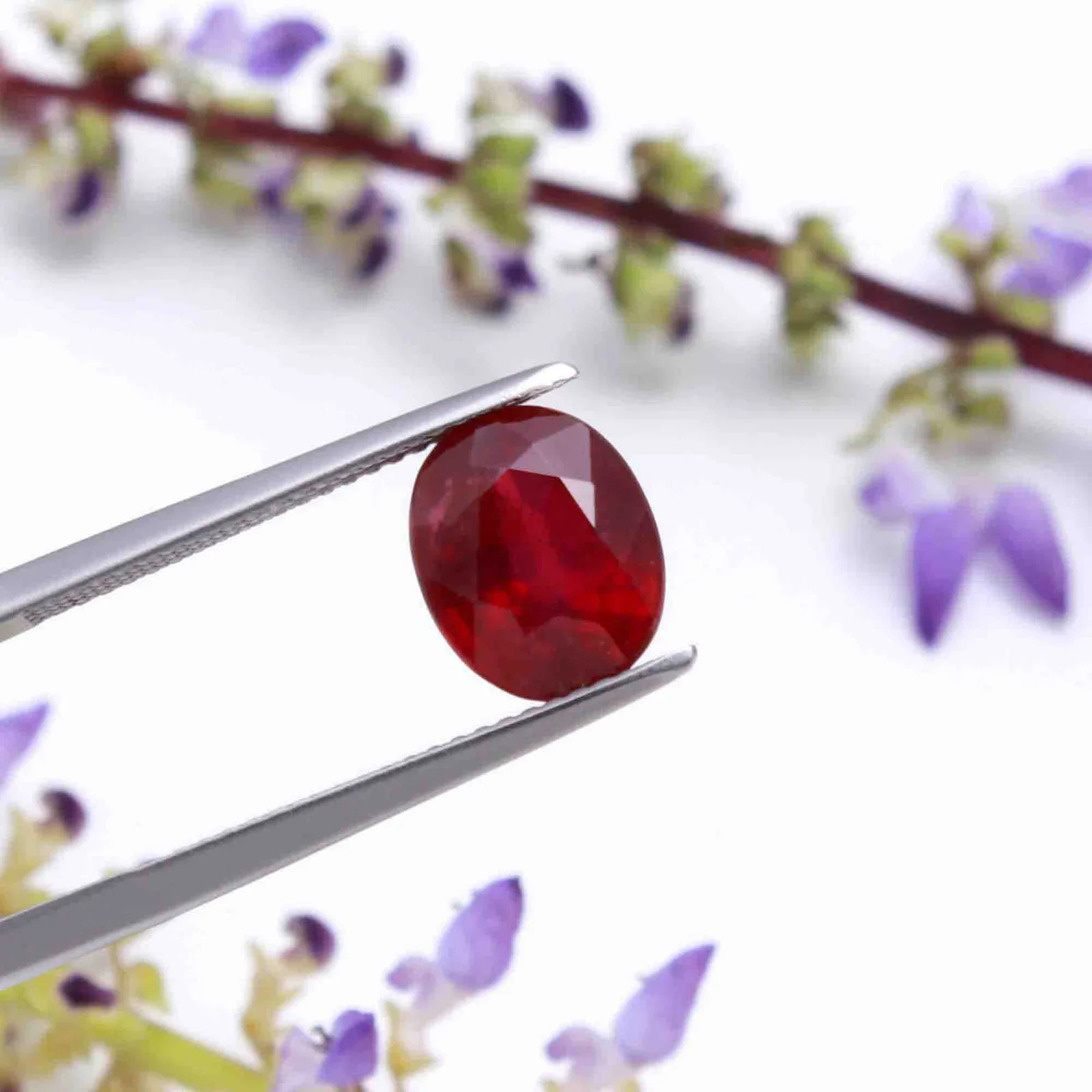 Natural Ruby (Manik) 7.68 Carat – for Sun – image 2